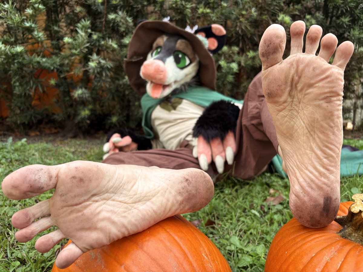 GoopyMarsupy tweet media