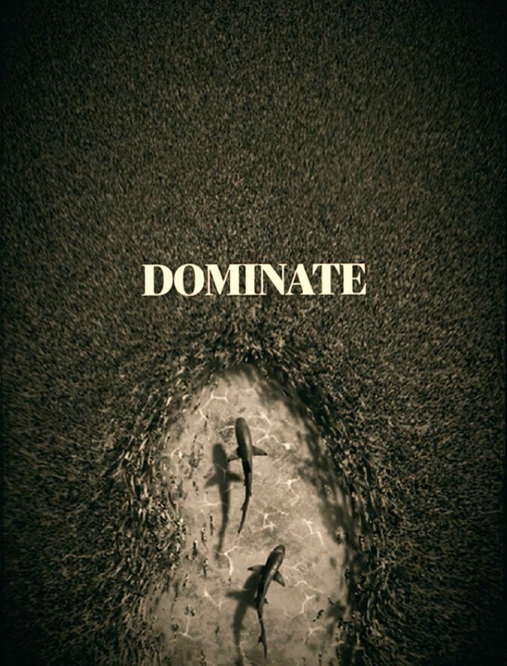 Stone & Sinew (@stonesinew7) on Twitter photo 