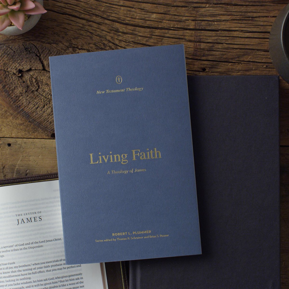 Introducing Dr. Robert Plummer's NEW book! Living Faith: A Theology of James.
This book is perfect for pastors, seminarians, college students, and anyone wanting to learn more about the theology of the Book of James. Pre-order now!