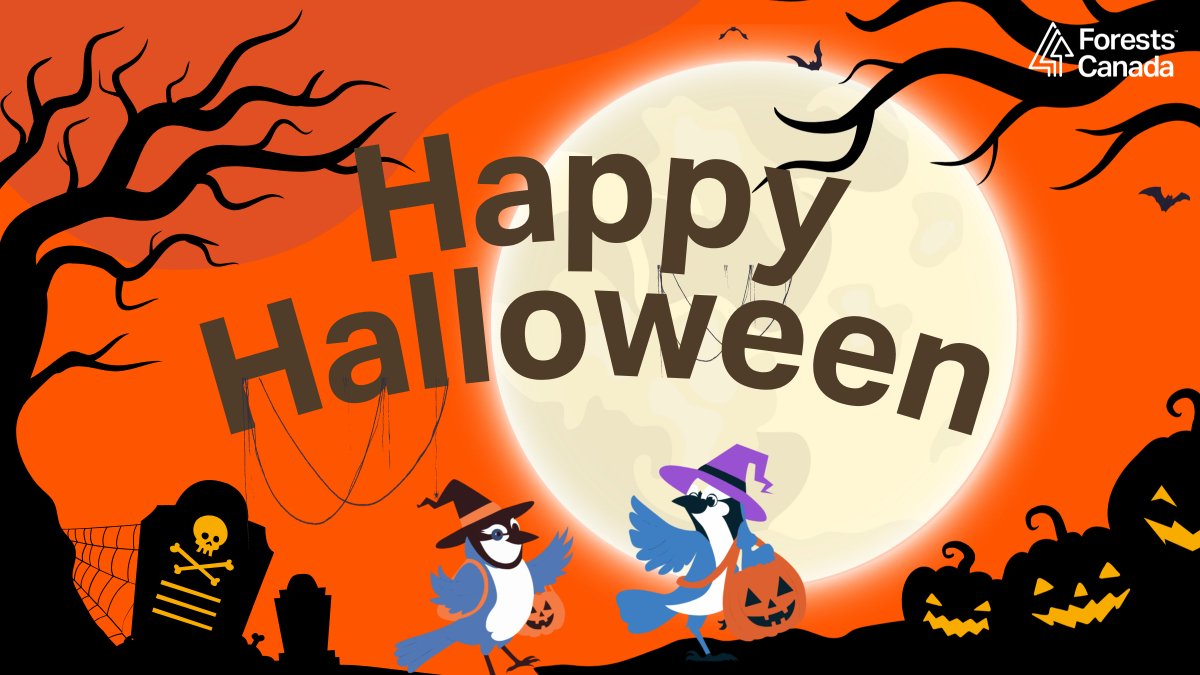 👻Happy Halloween!🎃
 
Whether you're going out trick-or-treating or staying at home base to watch the Toronto Blue Jays, we hope you have a fang-tastic evening that steps up to the plate. Knock it out of the park, scare up some fun, and stay safe!