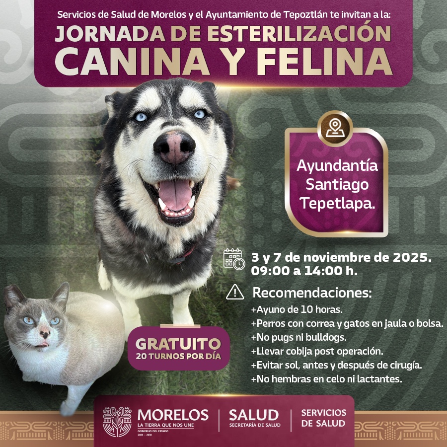 Cuidar su salud también es un acto de amor. 🐱🐶
Acude a la jornada gratuita de esterilización canina y felina en Santiago Tepetlapa.
📅 03 y 07 de noviembre de 9:00 a 14:00 h
#LaTierraQueNosUne