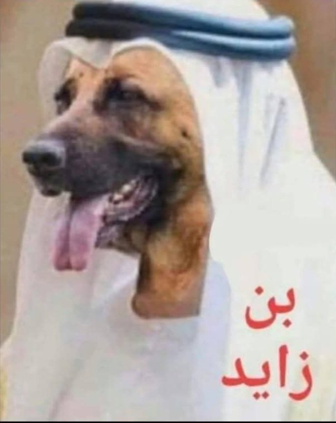 شهاب محمد العولقي tweet media