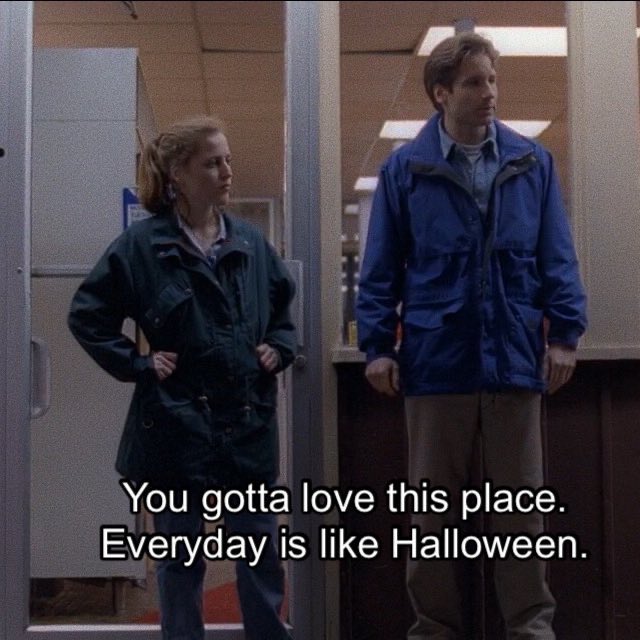 scullyxf's tweet image. 