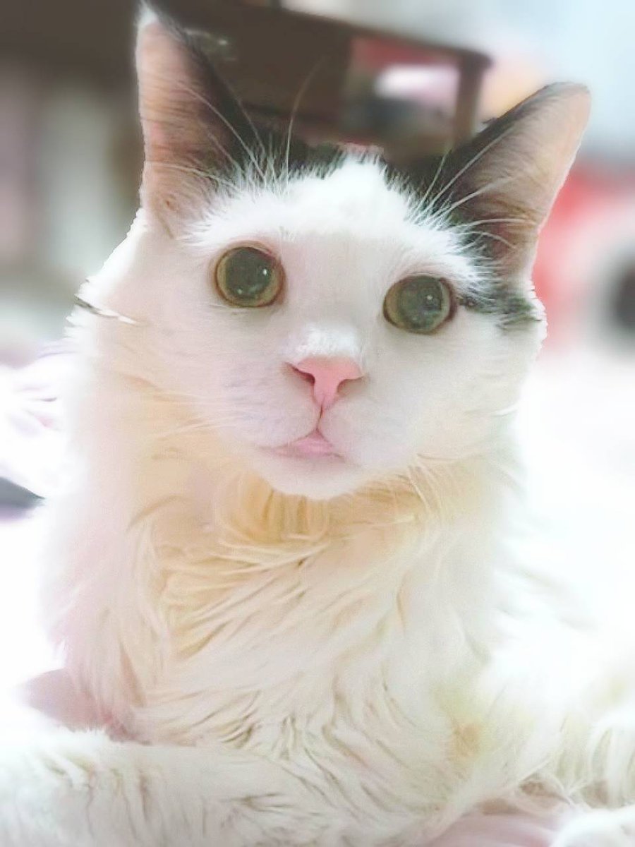 きょんちゃん✿ฺ (@pYnWZzTDiesRhzd) / Posts / X