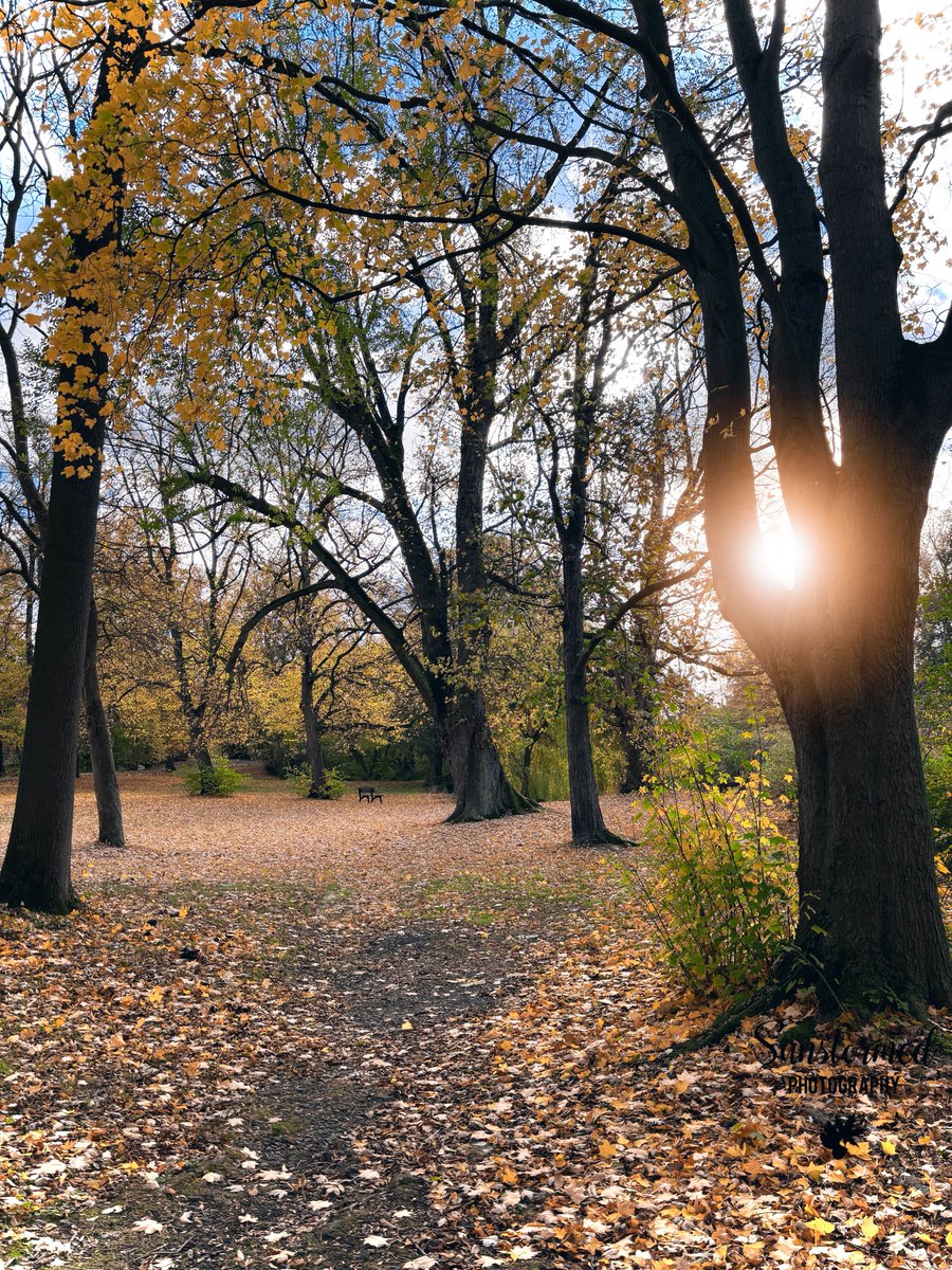 And I thought of you..