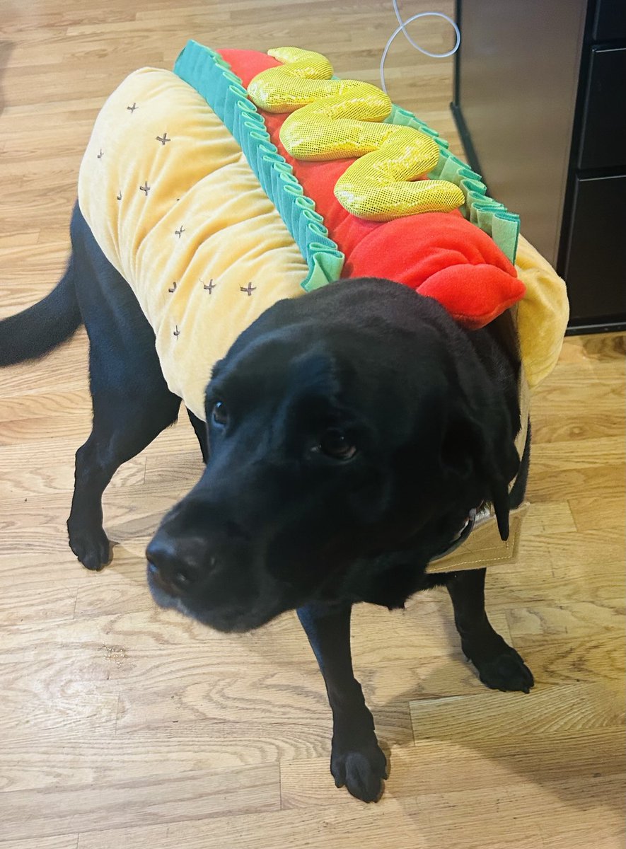 Legislator Mark Olson tweet media