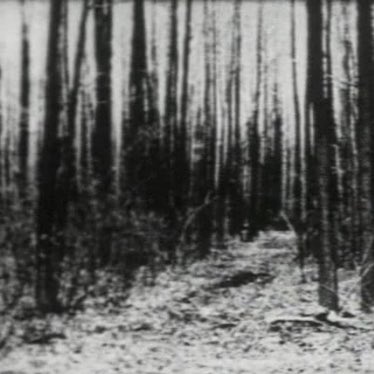 optic core tweet media