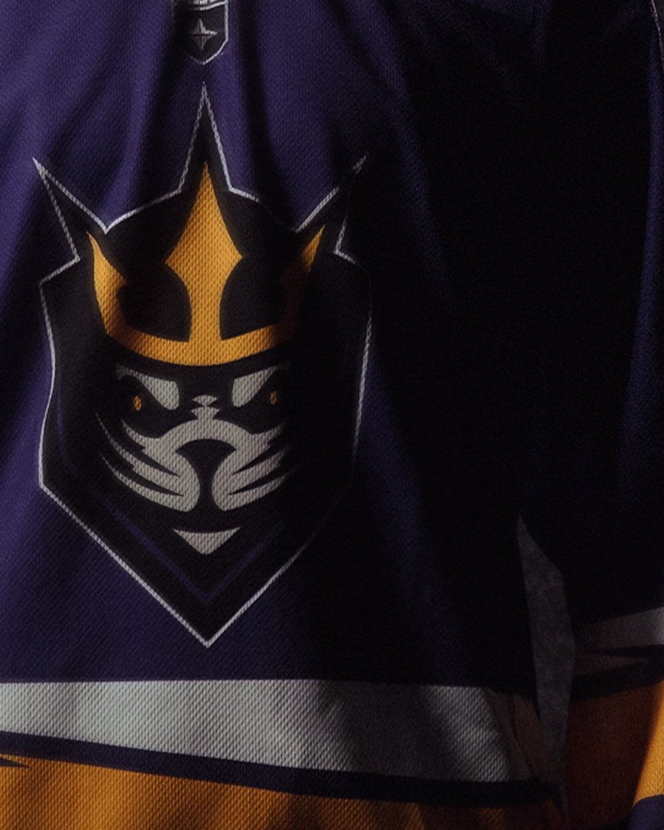 SealsLax's tweet image. Lights down. Game on.