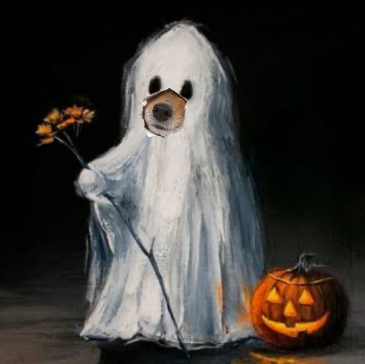 such a bootiful nose