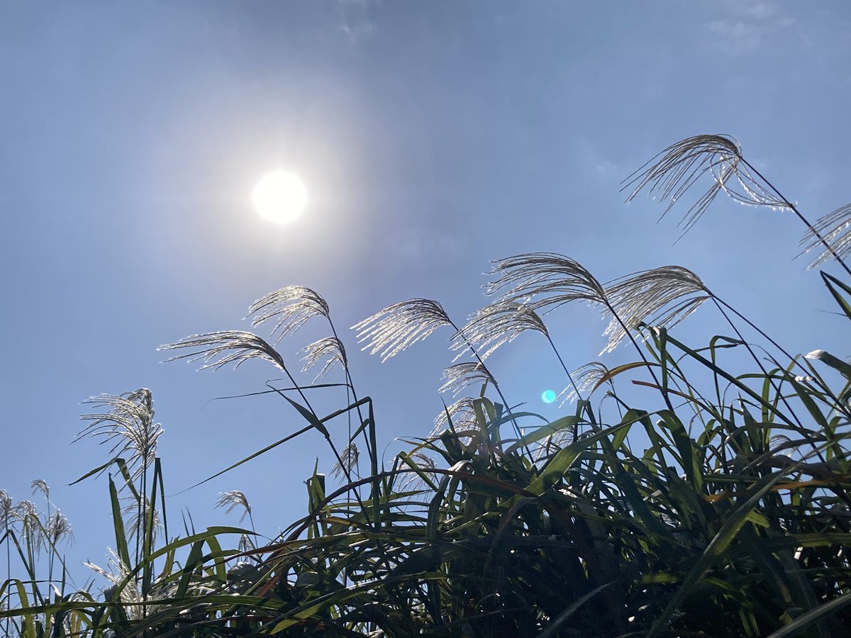 sun.sun様ありがとうございます！2点おまとめです 歌ってみたヨ76] Sunny Day Sunday / センチメンタル・バス