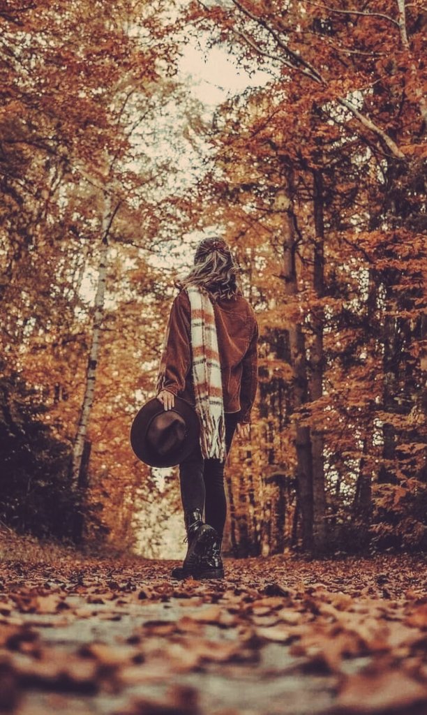 Sophia (@womanwindow) on Twitter photo 