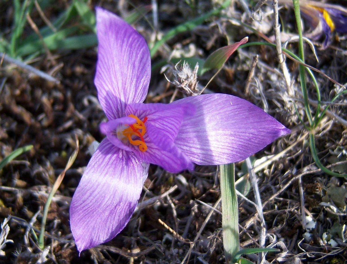 srcasrc43's tweet image. İyi geceler