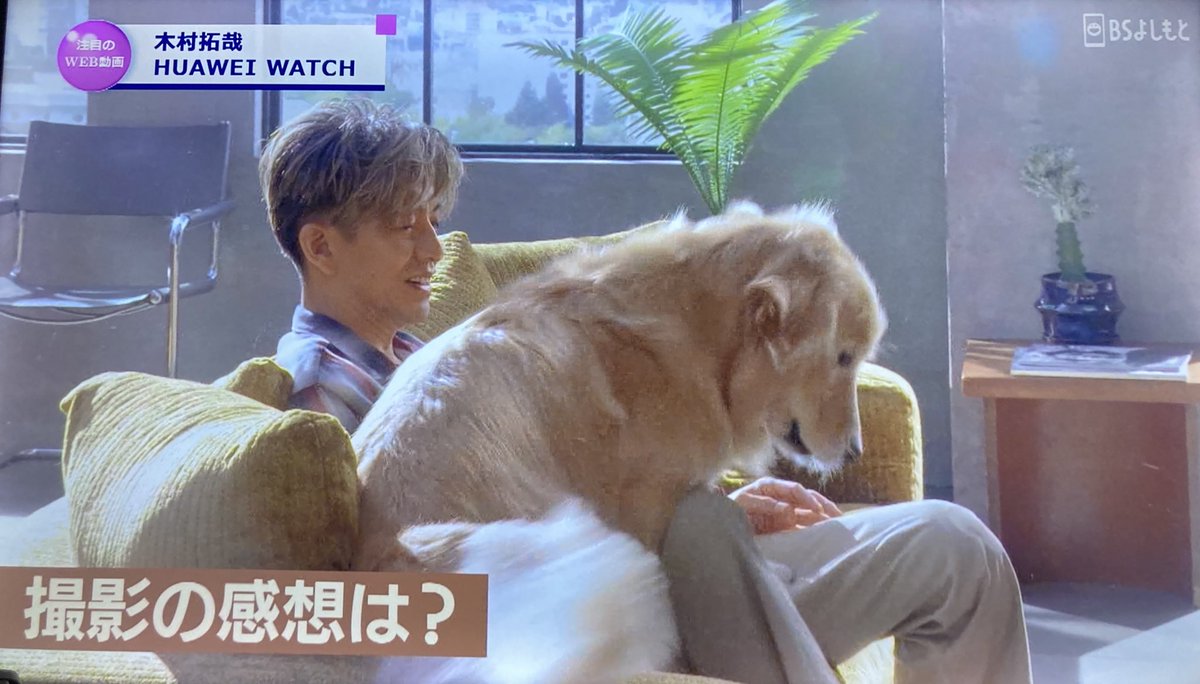 nigenai_hito's tweet image. #CMINDEX 

拓哉君のHUAWEIさんのCMをメイキングと70秒CMまで、たっぷりと👍
web CMだから、録画できて嬉しい🥰

「かっこいい大人」編❤️

「仕事も遊びも全力」拓哉君の生き方👌

#木村拓哉
#HUAWEI