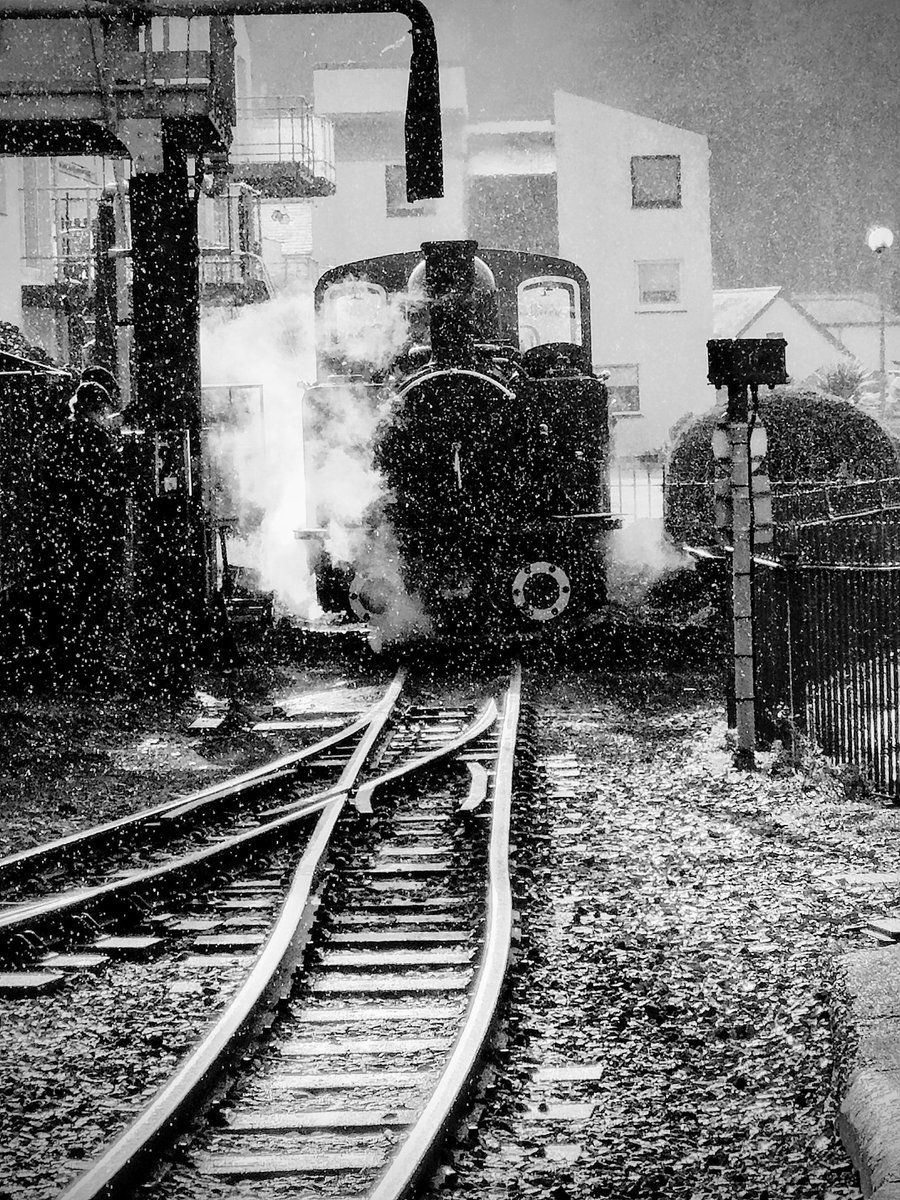 Warwick Lea tweet media