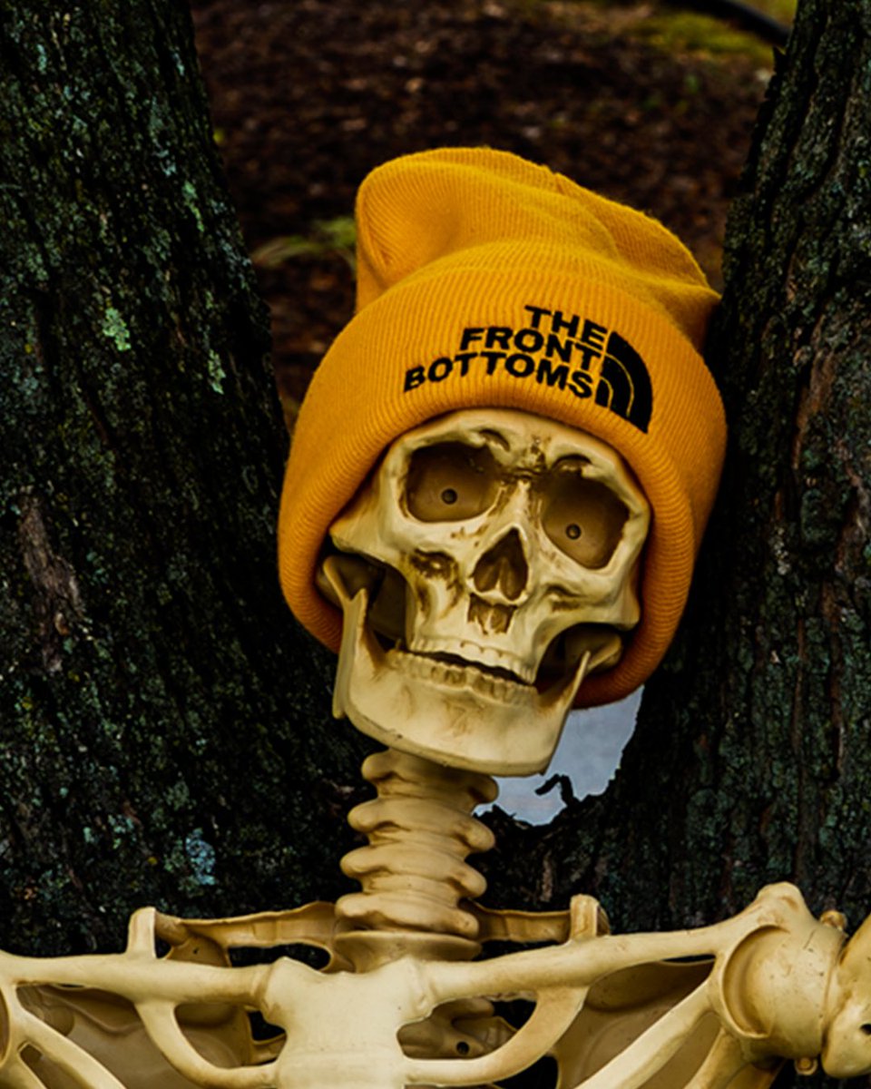 The Front Bottoms tweet media