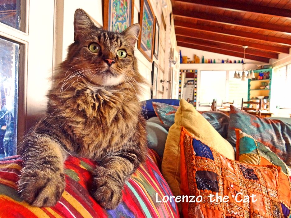 The Spirit of Lorenzo the Cat tweet media