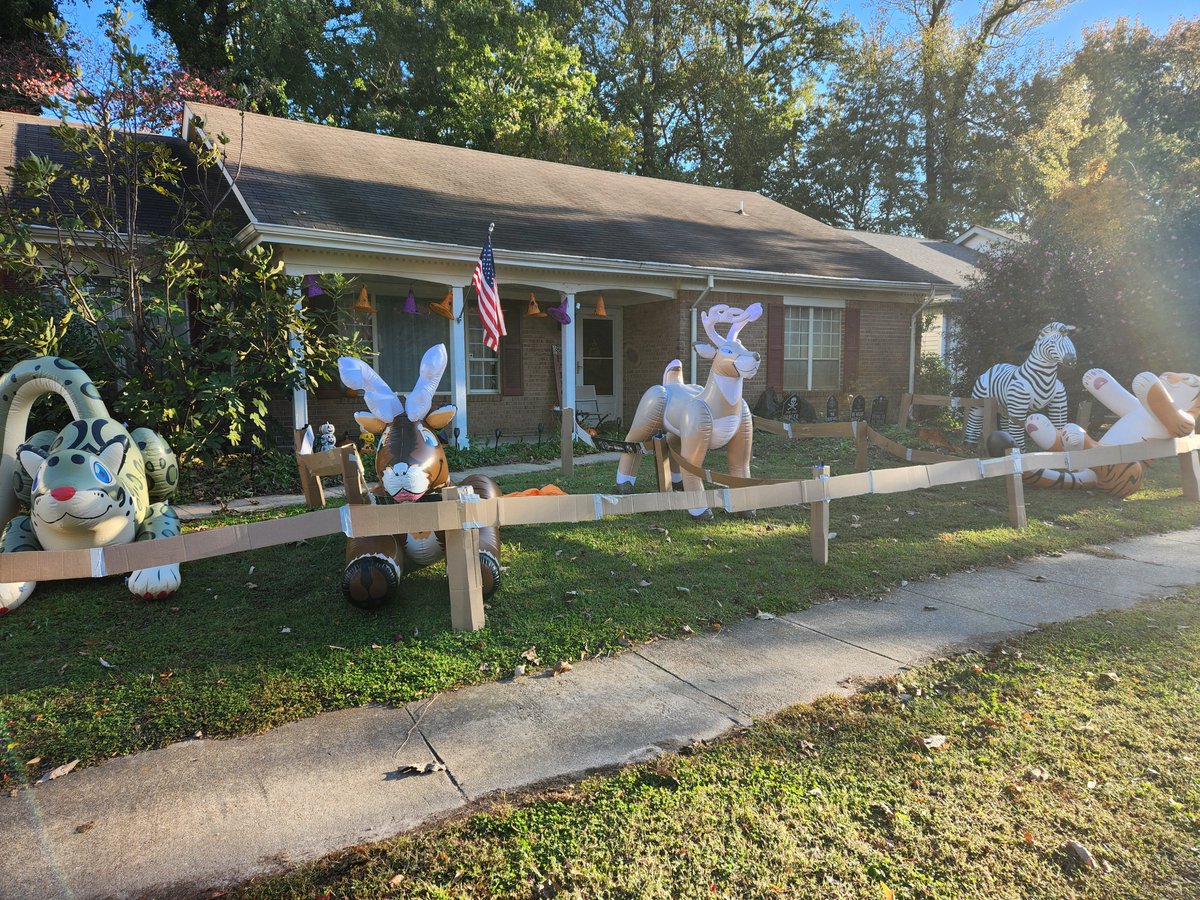 The wife wanted a zoo... I accommodated as best as I could.