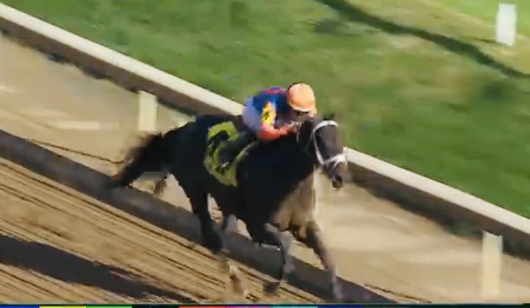 mjsharp75_joe's tweet image. Congrats🎉Protective 🟠🔵Winning Conections‼️@RepoleStable @ChurchillDowns @a_concepcion16 🆙