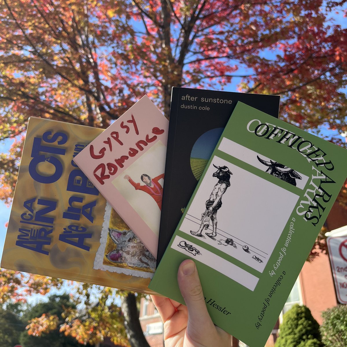 20gaShotgun's tweet image. Hello again to my new followers: I am Bill and I run @FarthestHeaven, a small press with books of all sizes, all by LIVING authors (or translators). We have four fine books of poetry for you to cozy up to this fall, and a collection of short stories forthcoming (more next week).