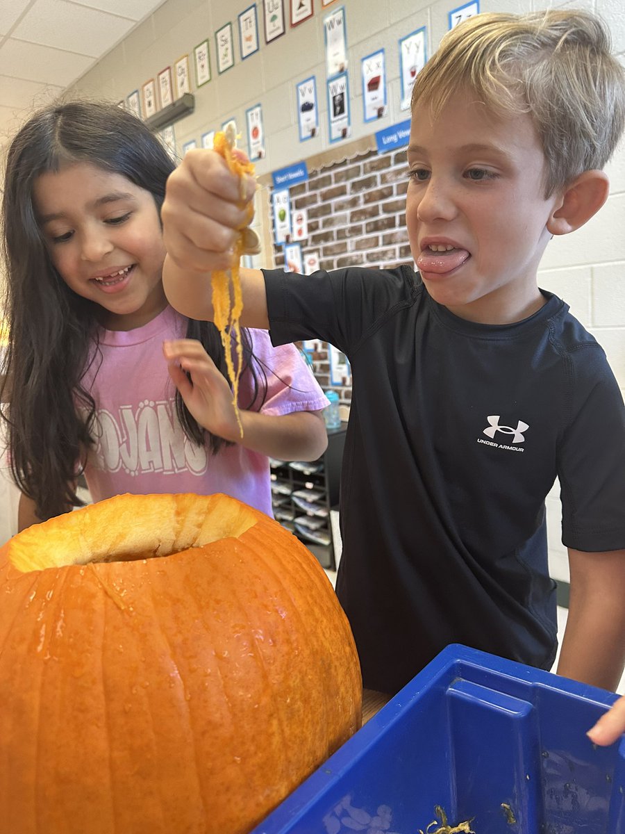CrockerMama's tweet photo. Enjoying pumpkin investigation centers @MVESGainesville Thank you to our volunteers!#firstgradefun https://t.co/R3HjBEsZYK