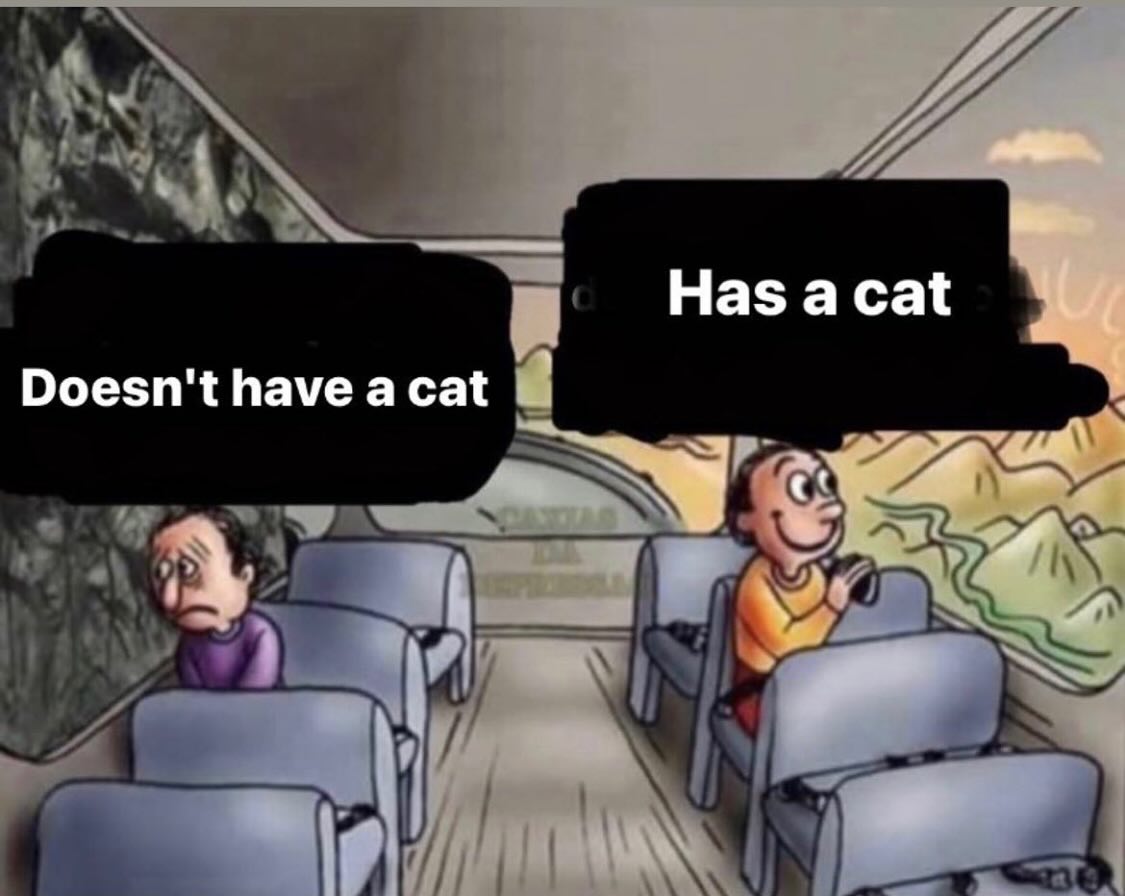 PunchingCat's tweet image. 