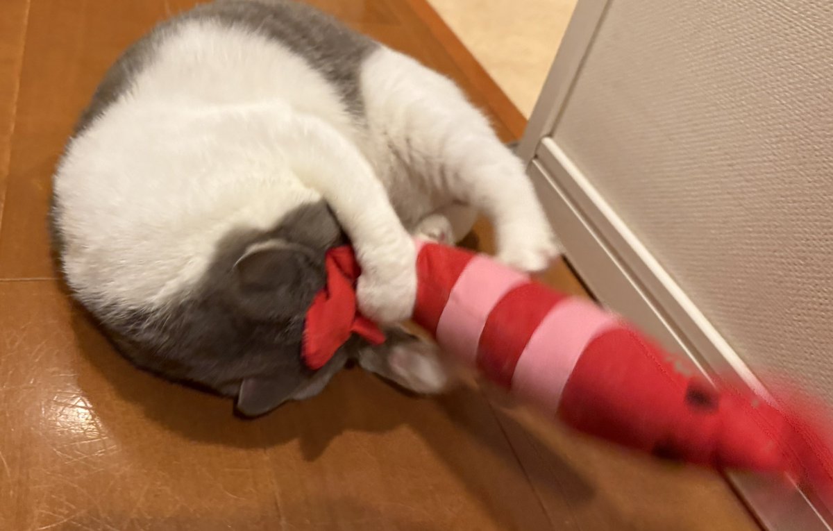 いずもん/まろ様＊mfmf on X