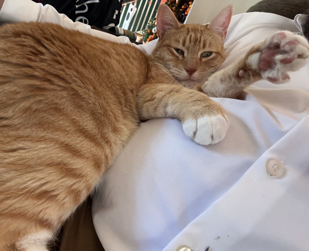 I think all my spooky besties deserve some treats