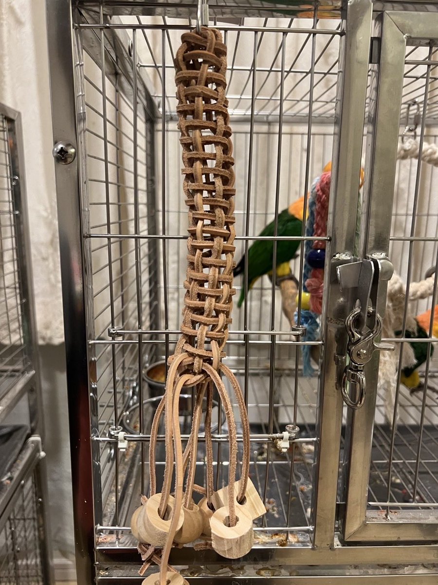 スピールフォーム　鳥小屋 スピールフォーム 鳥小屋