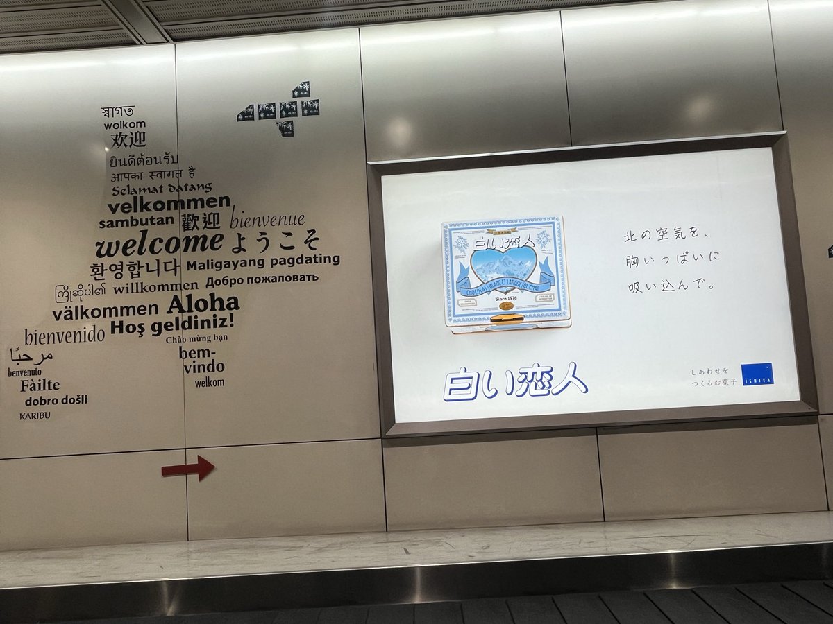 ayachan732's tweet photo. 今年も行けた北海道 https://t.co/02yNMUugmM
