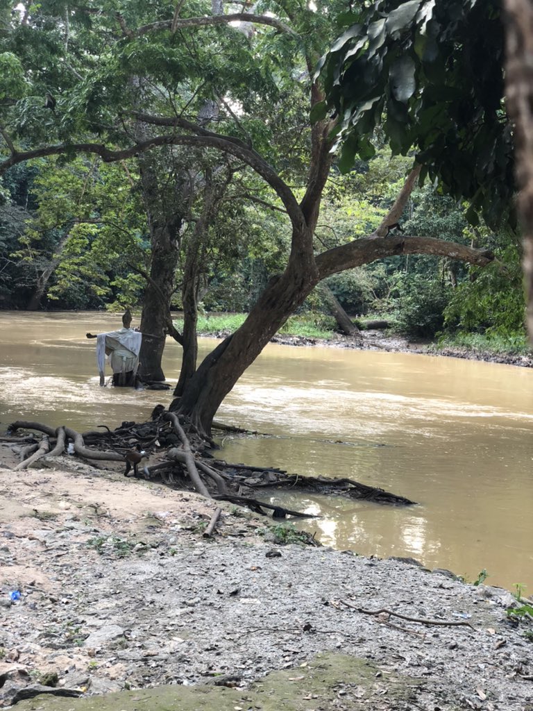 mopelola1111's tweet image. I went on a departmental field trip, we visited Nike Art Gallery and the Osun osogbo groove 
I saw different art works, the old adire attire, met the osun river with other things and I had fun 🤩 ❤️