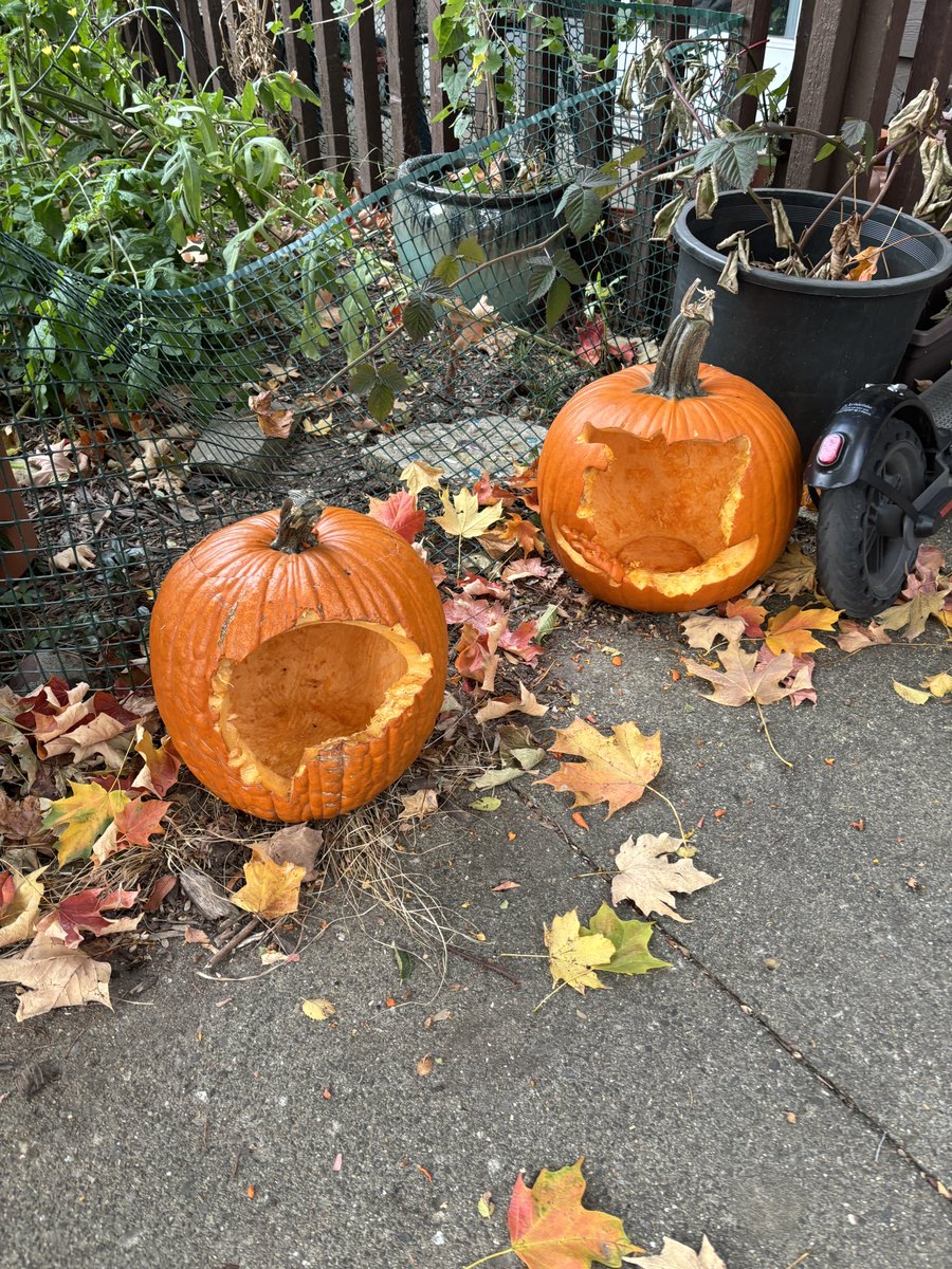 hotcupofkyle's tweet photo. Nothing screams fall more than a jack o lantern with its face eaten off by a squirrel! https://t.co/G88XPWjwVr