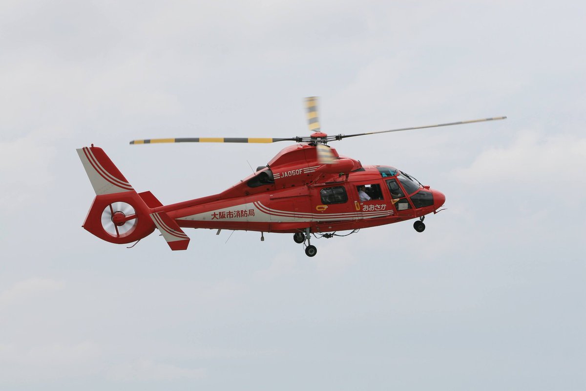 #ドーファンを愛でる会