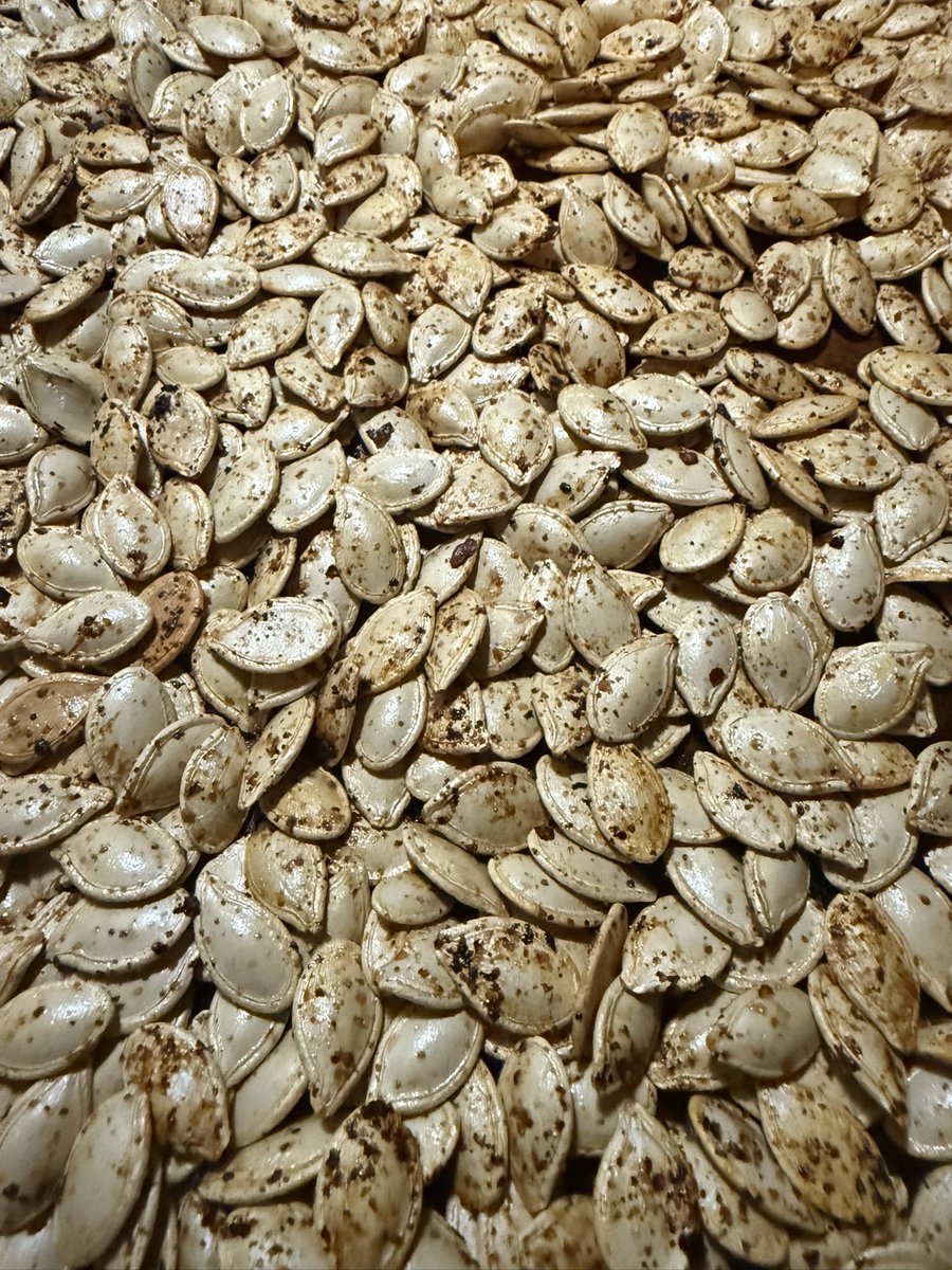 Made some Spicy Sechuan Pumpkin Seeds to snack on tonight while my love and I watch The Frighteners for the first time in years. 

Have a wonderful Halloween 🎃