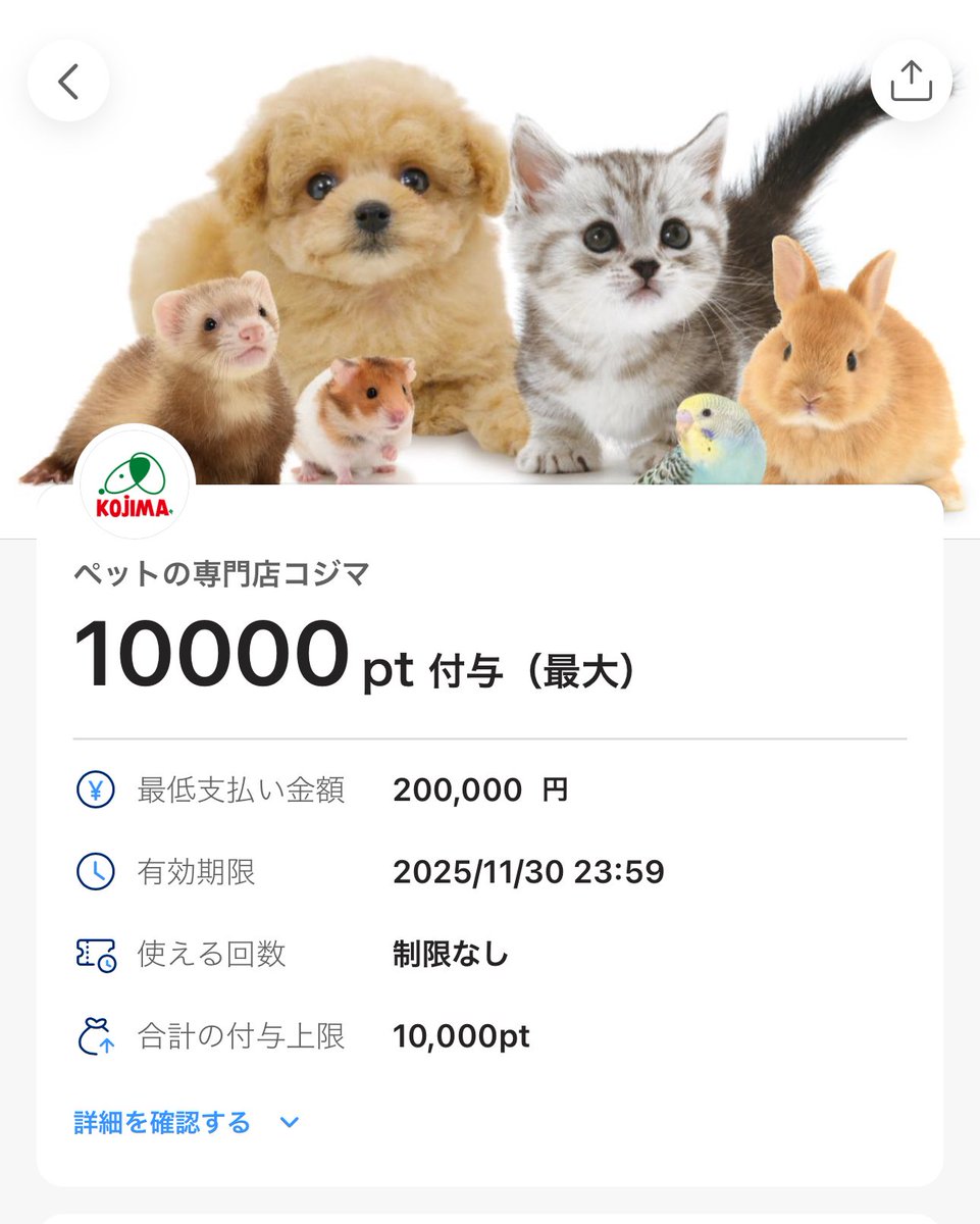 きくまこりん！ ヒカクマのPayPay生活 on X