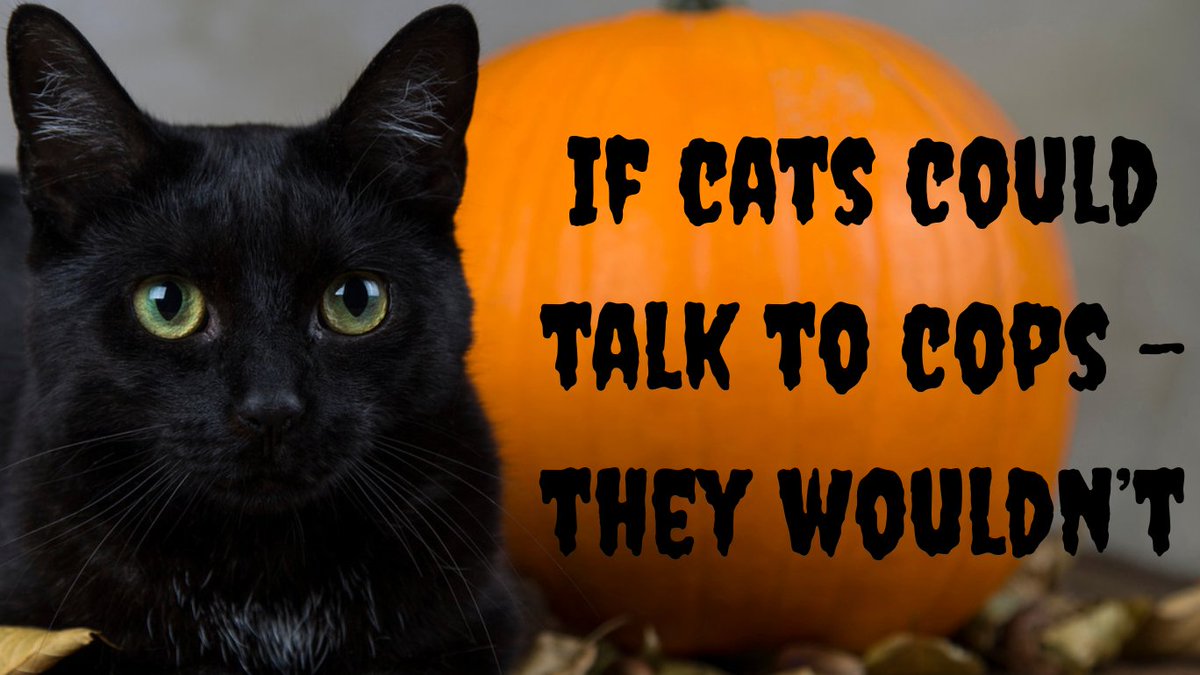 #ACAB Daily Digest (October 31, 2025):