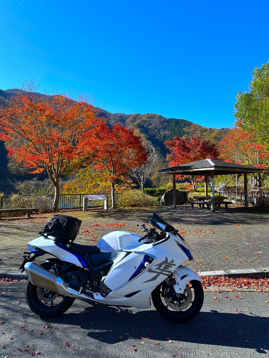 とらちゃん (@torachan675r1) / Posts / X