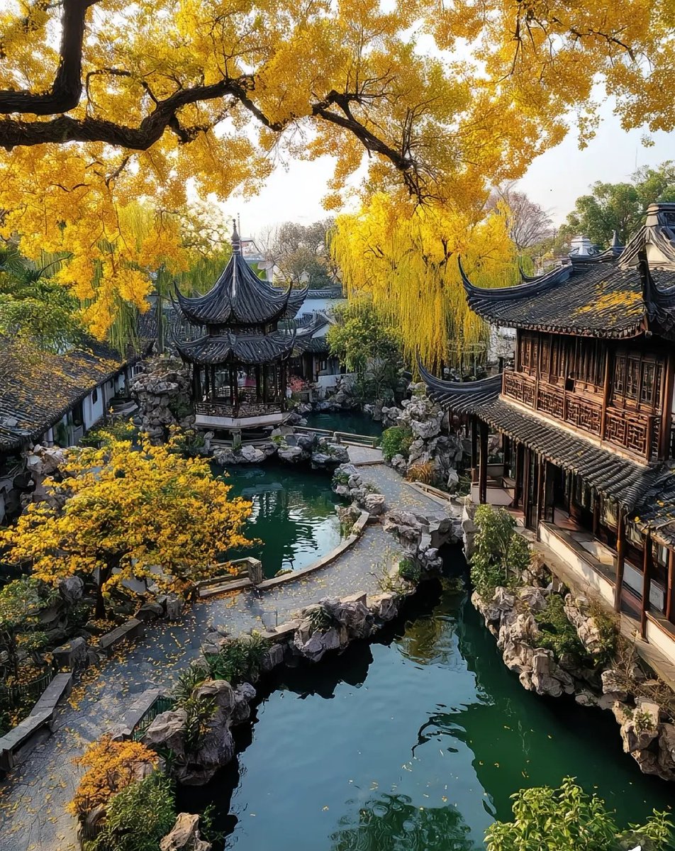 这样的秋，只能属于江南水乡。