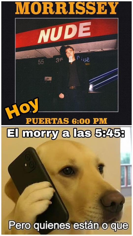 Así Morrissey con su propio concierto...