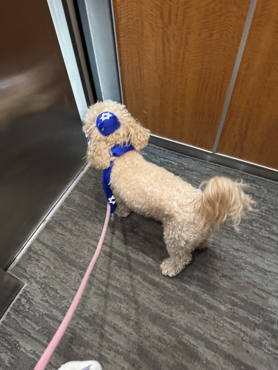 Your Rabbi’s favorite Rabbi