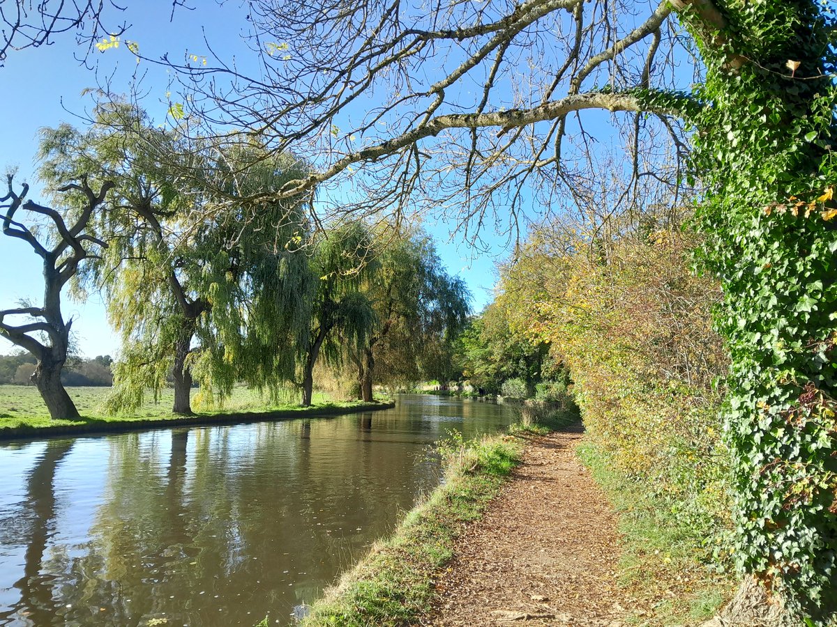 esjkerwin's tweet photo. Photos from a recent trip to Guildford and a walk along the River Wye. Autumn can look so beautiful in the sunshine. https://t.co/2cmUMHcD3a