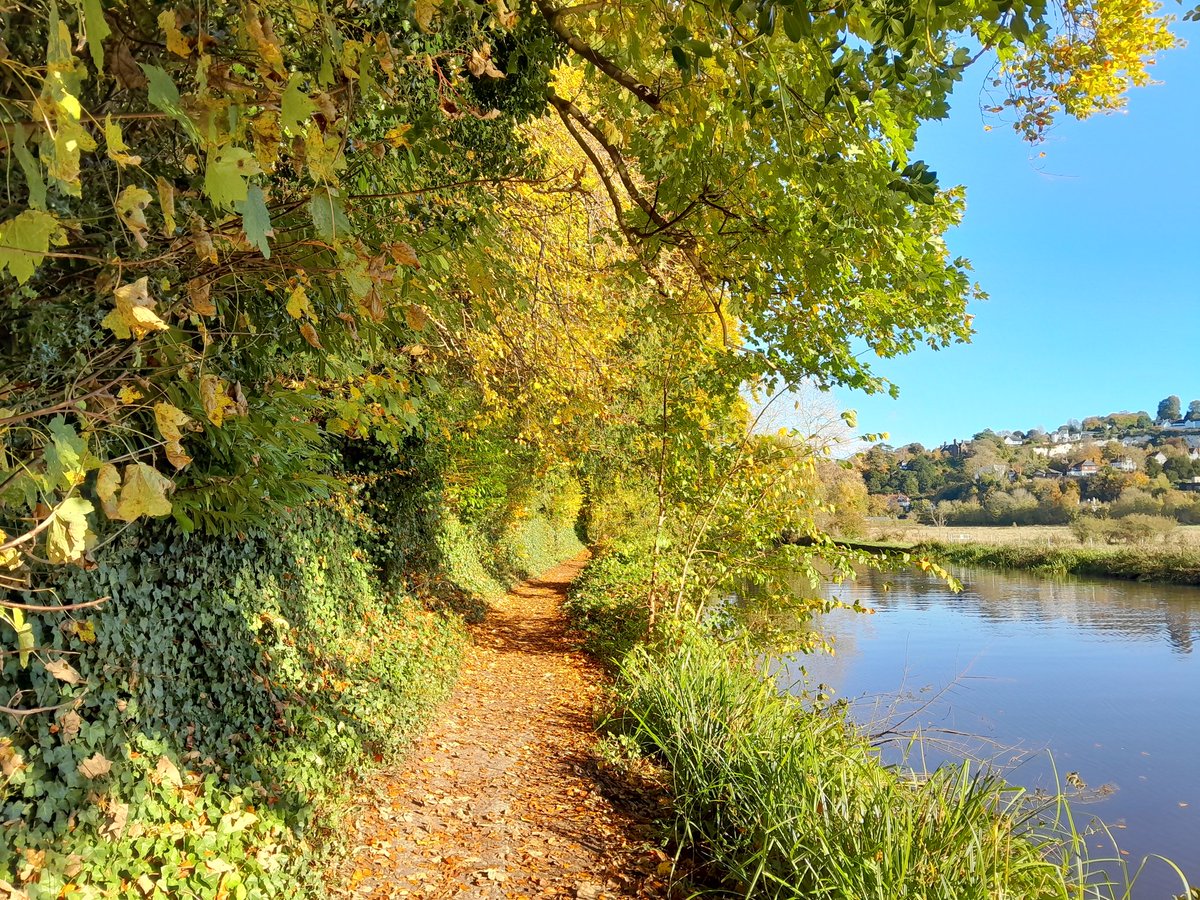 esjkerwin's tweet photo. Photos from a recent trip to Guildford and a walk along the River Wye. Autumn can look so beautiful in the sunshine. https://t.co/2cmUMHcD3a