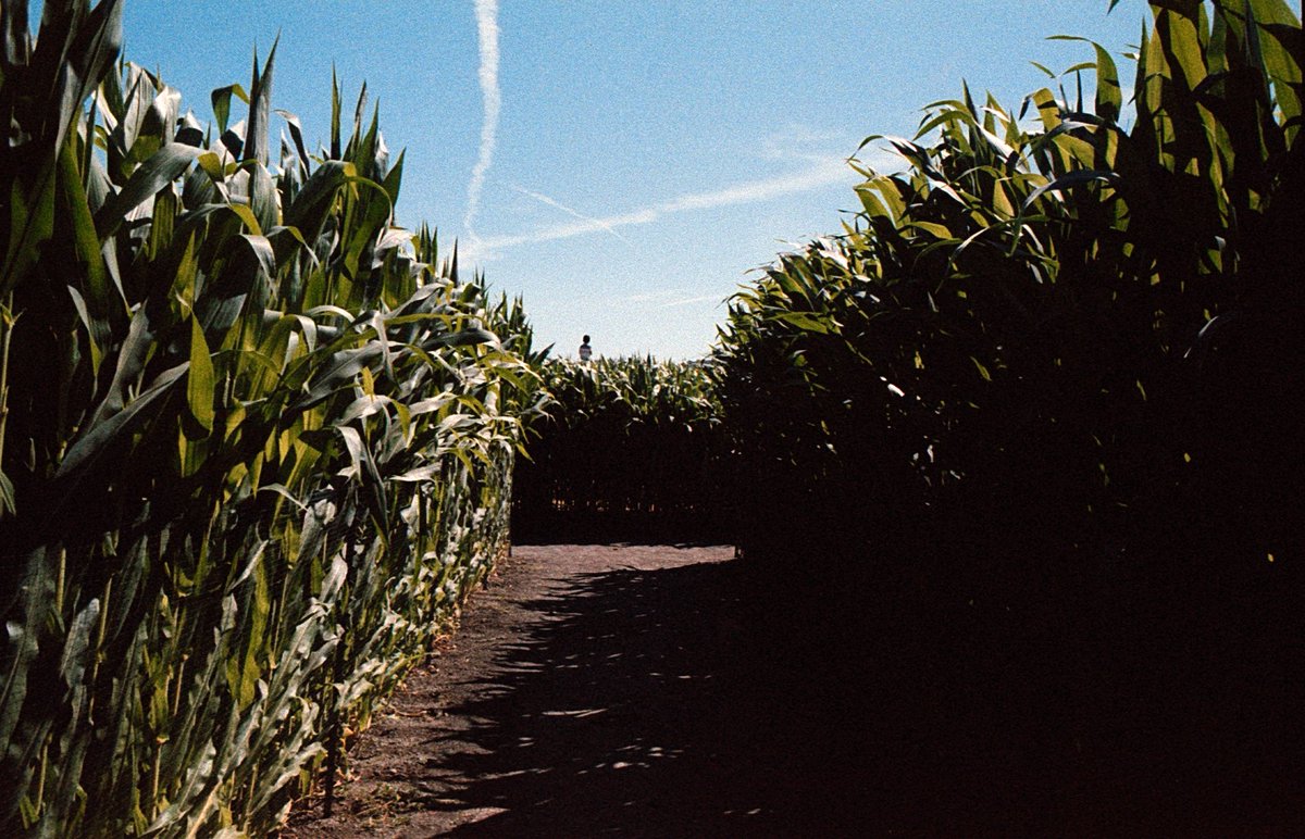 𝖉𝖊𝖒𝖎 tweet media