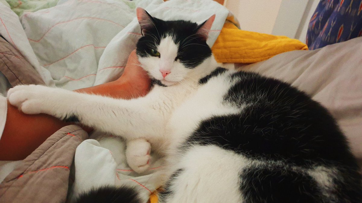 I've never felt the same without you my boy