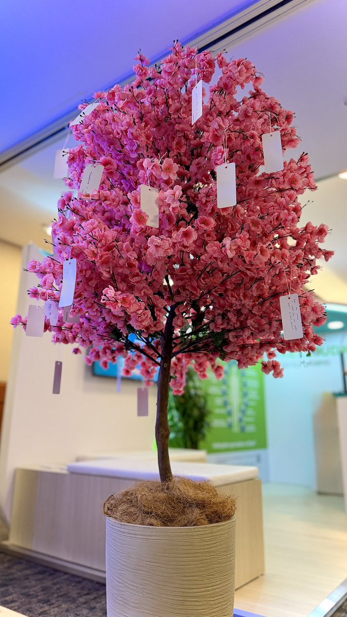 Daniel Przybysz M.D. tweet media