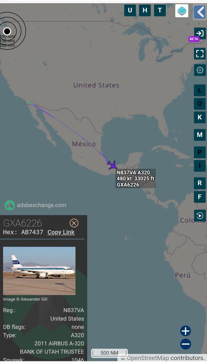 ⭐︎mai Nendoroid Rascal Does Not Dream of Bunny Girl Senpai Mai