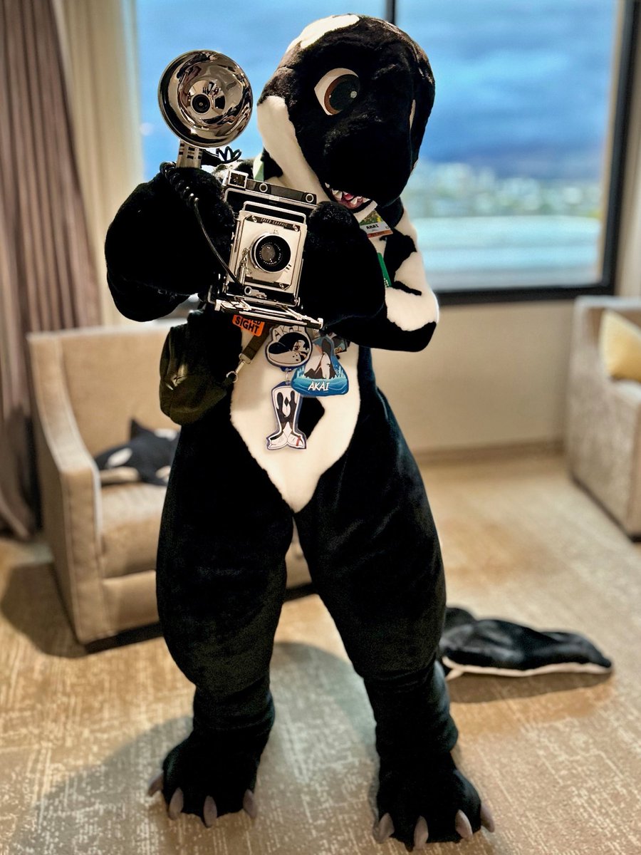 It’s #fursuitfriday already?! 

I already posted this one indirectly several days ago, but it deserves its own post! 

The orca’s got his press camera, better watch out or he’ll take some flattering photos of you!
