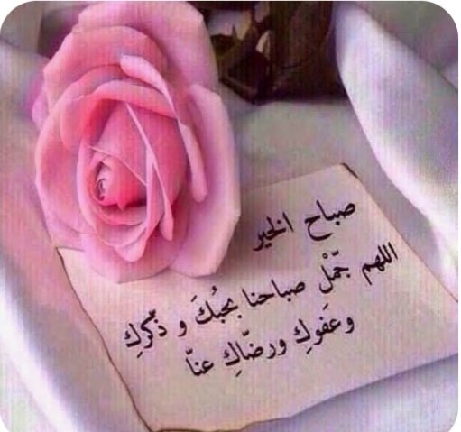 اللهم في هذا الصباح سخر لنا من الأقدار أجملها ومن السعادة أكملها ومن الأمور أسهلها ومن حوائج الدنياأيسرها وأحسنها يارب 
صباح الخير والسعادة والرضا 🌸🍃