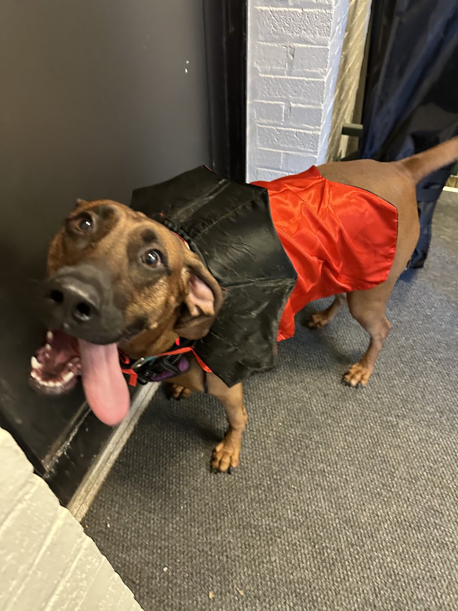 IndianaChemist's tweet image. 2025 OISC Halloween 🎃👻 Always a great time! The Grim Reaper won the consume contest.  At least we think it was a costume 😱
#OISC