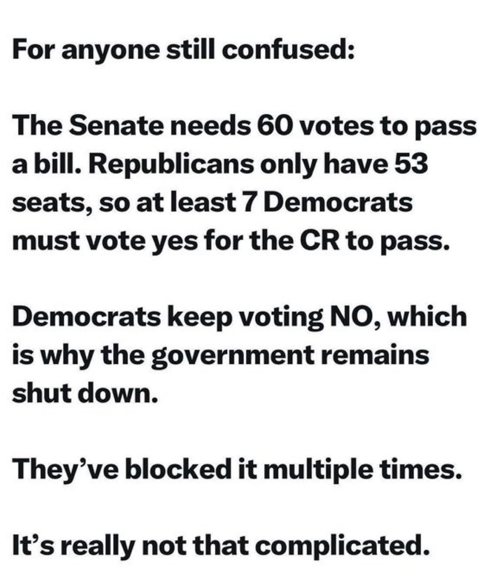 Gator_DC_'s tweet image. 