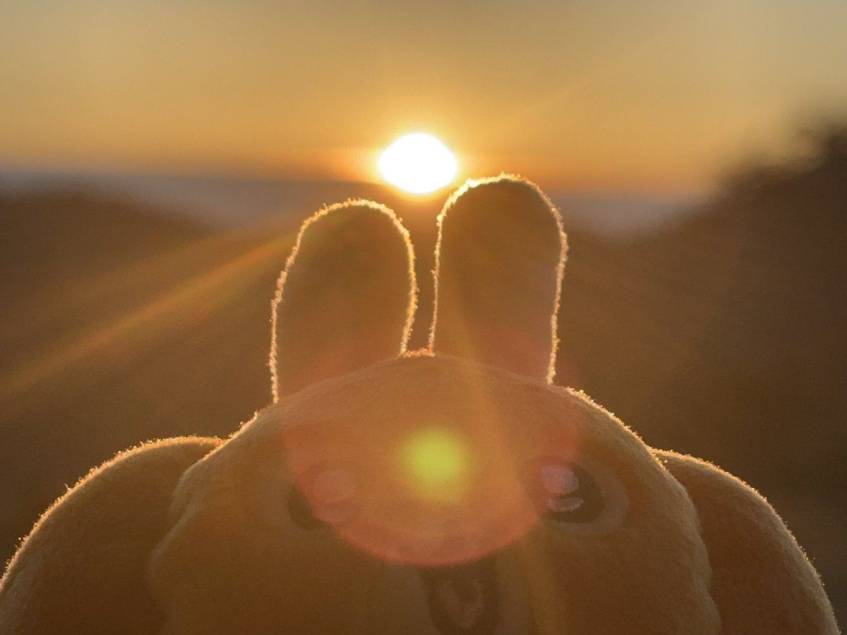 砂鉄ジョリオンヌ on X